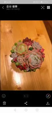 masacherry..❁⃘*.゜の画像