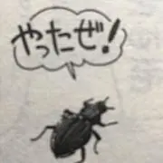 健康食