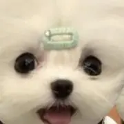 きらりの画像