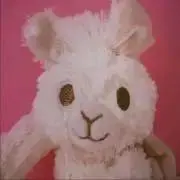 Cerintheの画像