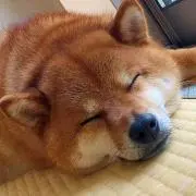 あや