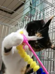 らら〘おまとめ割致します(⁠^⁠^⁠)〙の画像