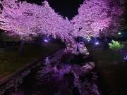 chanの画像