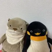 Yumetoの画像