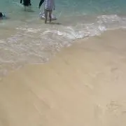 ジェイクの画像