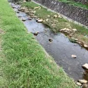 ケタカッパ