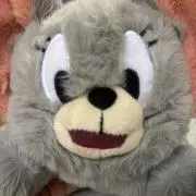 タフィーの画像
