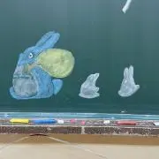 KAZの画像
