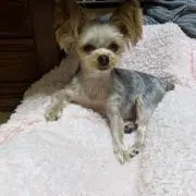 ゆーちん