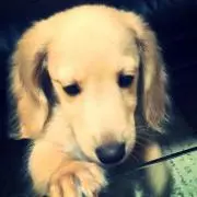 Miの画像
