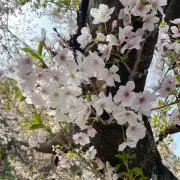 プロフィール確認の画像