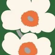 みかん8の画像