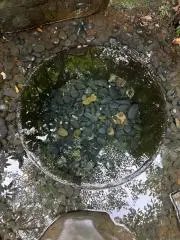 チルチルの画像