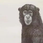 ほみ
