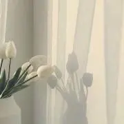 ♡の画像