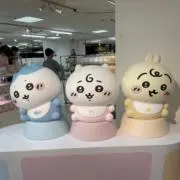 せいやの画像
