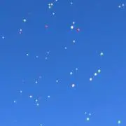 Daisyの画像