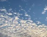 ゆうたの画像