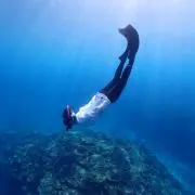 花の画像