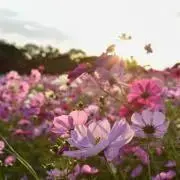 erisanmaruの画像