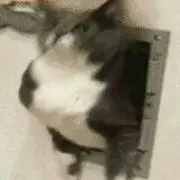 きみ
