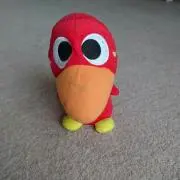 きーちゃんの画像