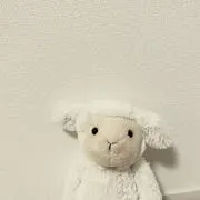 pontaの画像