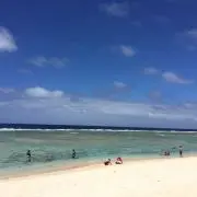 たらちゃんの画像