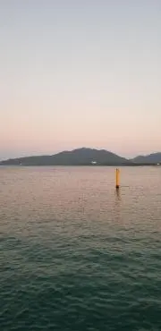 セイジ