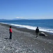 しーちゃん