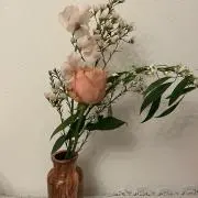 Image of やまだ