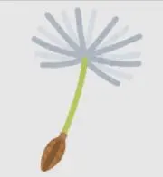 たんぽぽの画像