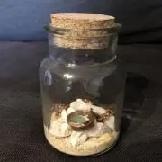 Tonmiiの画像