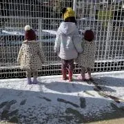 りさの画像