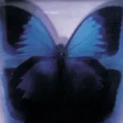 にゃんころ。んの画像