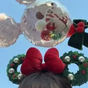 さくらの画像