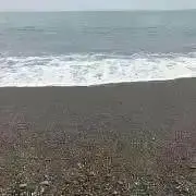 うみ＊の画像