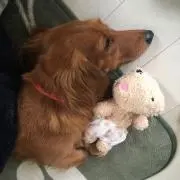 さとさと☆
