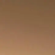 yuumi
