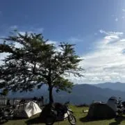 willowの画像