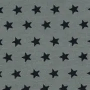 星