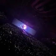ざえもんの画像