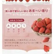 博多あまおう★彡の画像