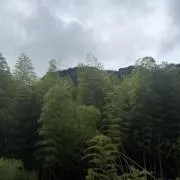 かるの画像