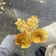 54の画像