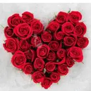 ♡ROSE♡の画像