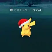 みかんの画像