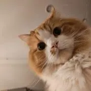 みみなん