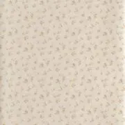 マの画像