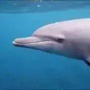 yuckyの画像
